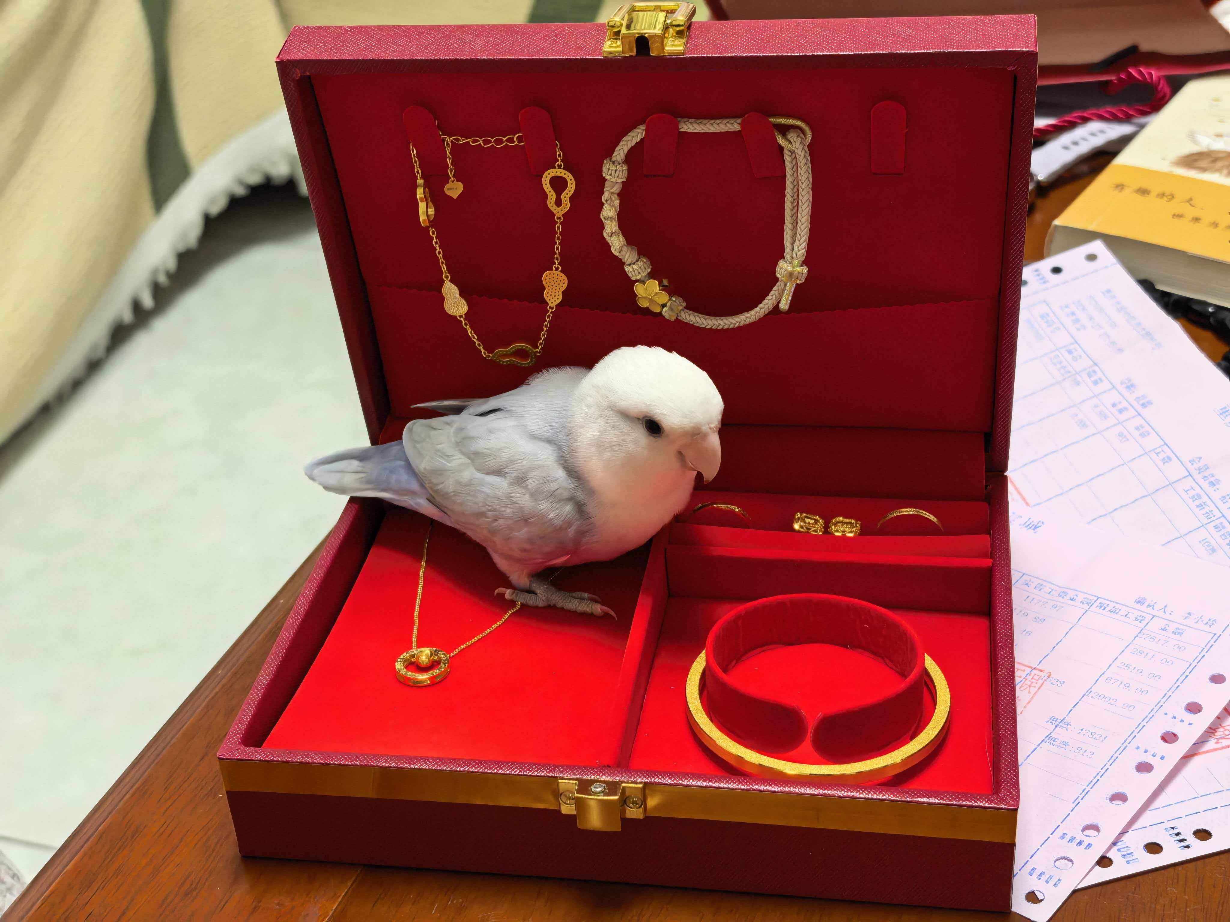 团在金