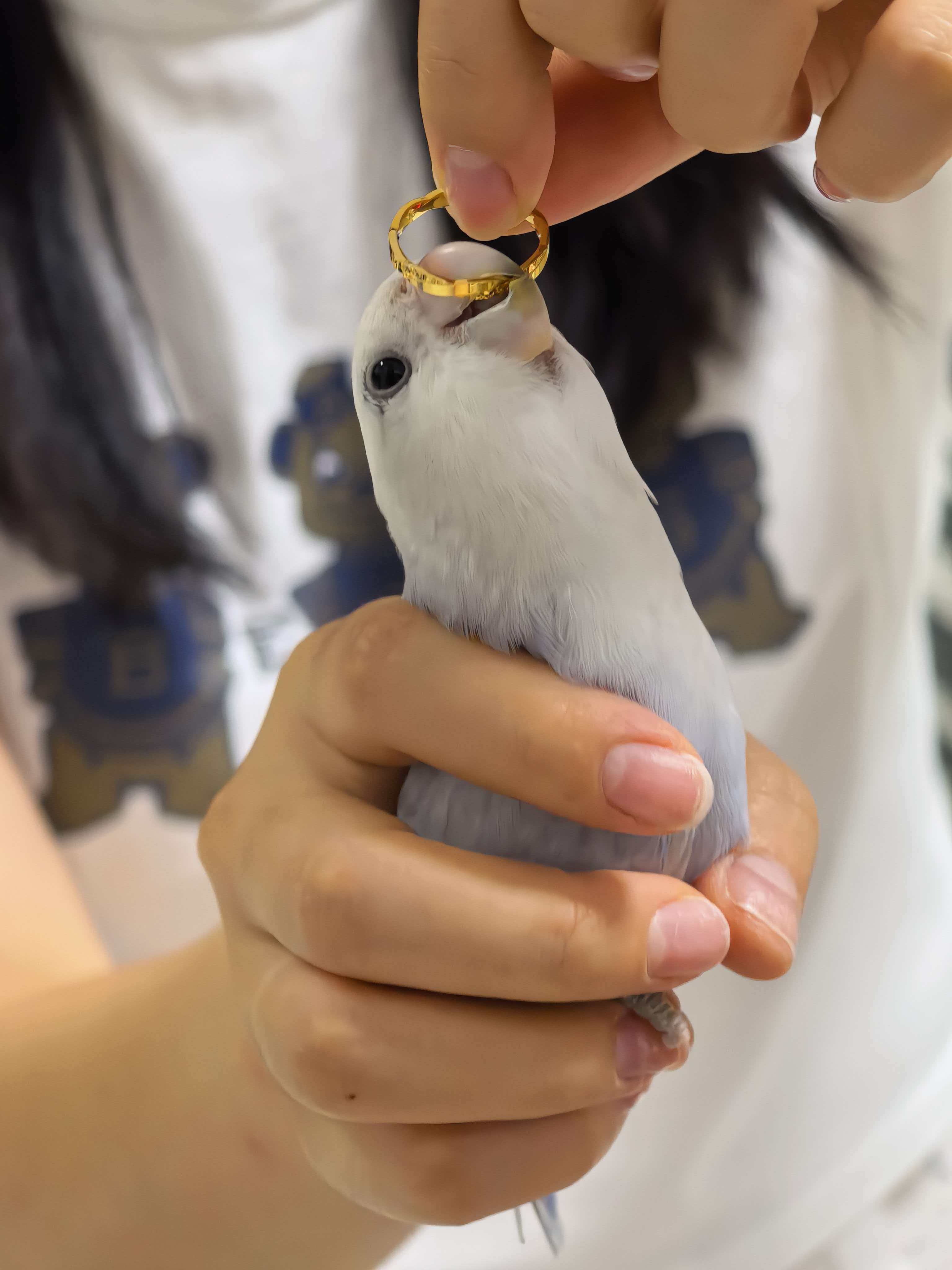 团咬金